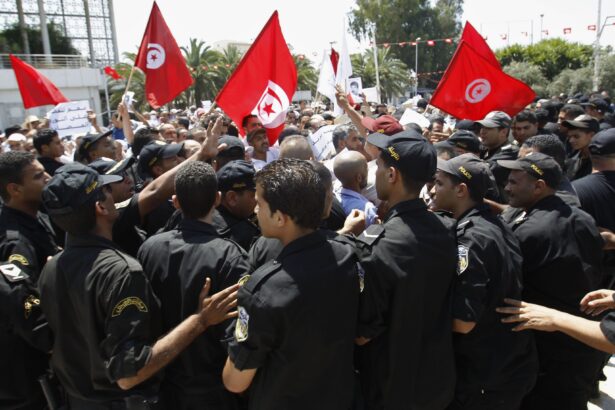 tunisia-consituation