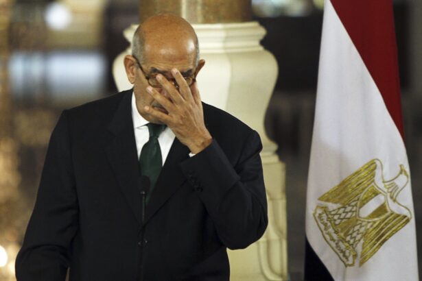 ElBaradei