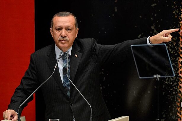 erdogan_2-jpg20130820141605