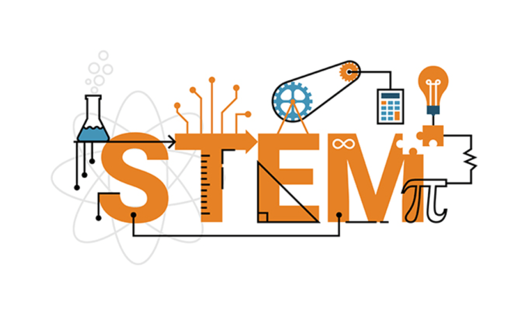 نجح منهج "STEM" في استغلال قدرات الطلاب المختلفة لتصميم مشاريع عملية