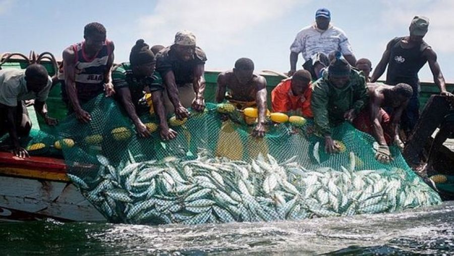 الصيد في إفريقيا