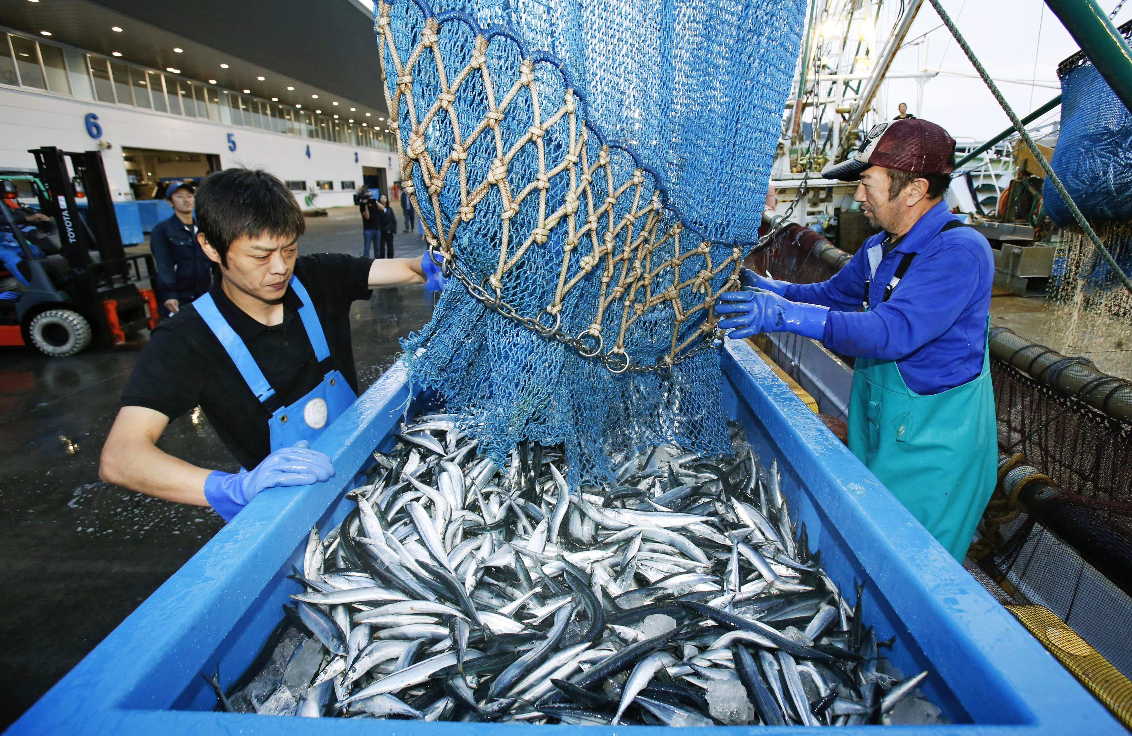 صيد السمك في الصين