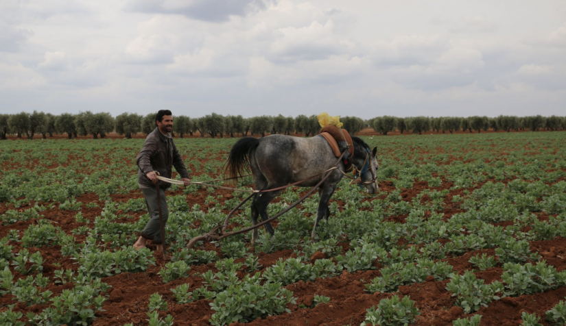 الزراعة في سوريا