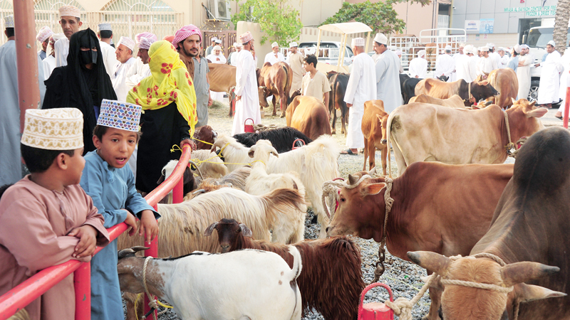 هبطات عمانية